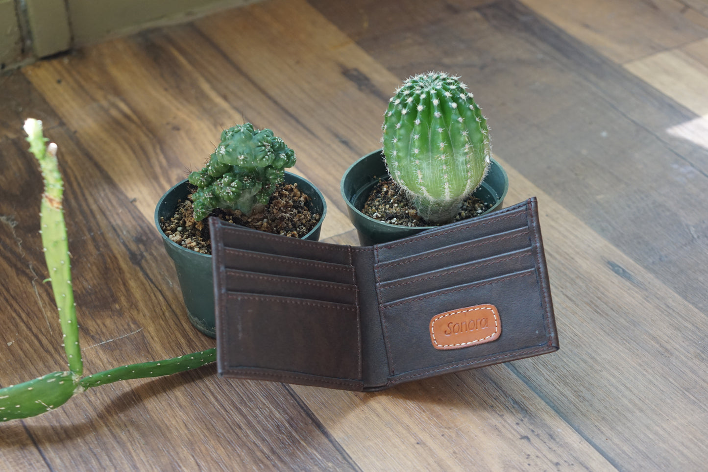 the san pedro wallet