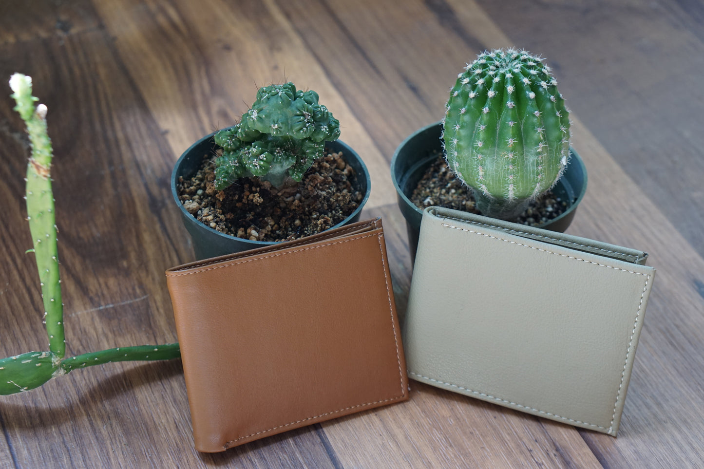 the san pedro wallet